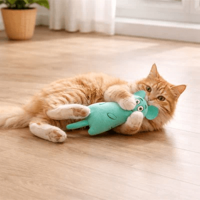 Jouet pour chat | Trois compagnons colorés — Peluches interactives - Mondechat