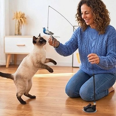 Jouet pour Chat | Ultra-Résistant - Mondechat
