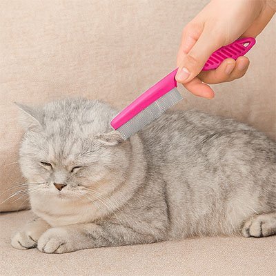 Kit 3 Peignes Chat | Démêlant Anti-Puces & Massage Silicone - Mondechat