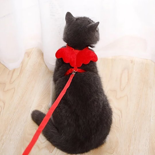 Laisse pour chat ajustable et sécurisée | ComfortPro - Mondechat