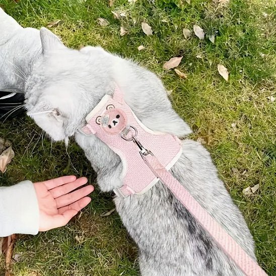 Laisse pour chat | PromenAdapt - Mondechat