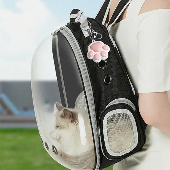 Laser ergonomique premium pour chats joueurs | Activplay - Mondechat