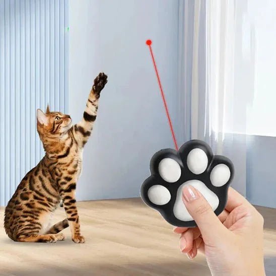 Laser ergonomique premium pour chats joueurs | Activplay - Mondechat