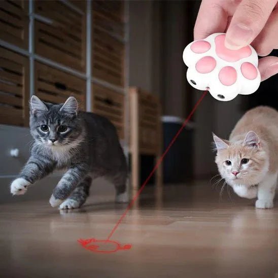 Laser ergonomique premium pour chats joueurs | Activplay - Mondechat