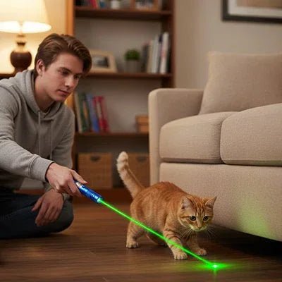 Laser pour chat | Féli - Activ - Mondechat