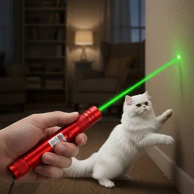 Laser pour chat | Féli - Activ - Mondechat
