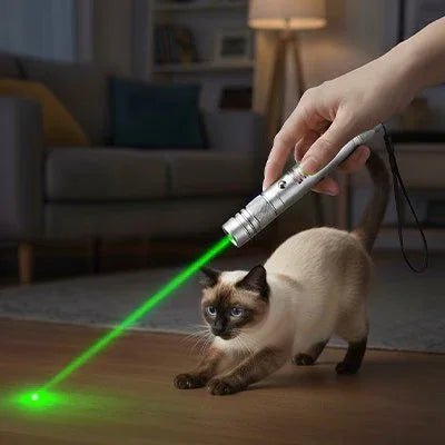 Laser pour chat | Féli - Activ - Mondechat