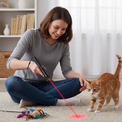 Laser pour chat | PlayfulFeline - Mondechat