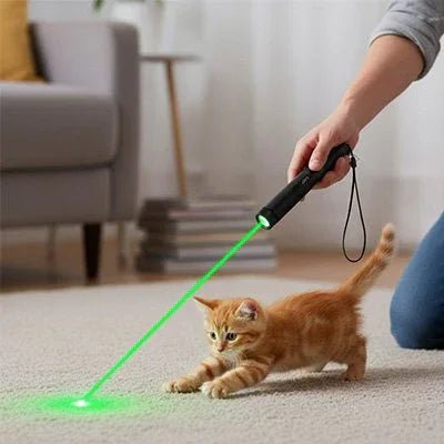 Laser pour chat | PlayfulFeline - Mondechat