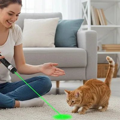 Laser pour chat | PlayfulFeline - Mondechat