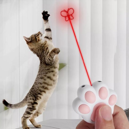 Laser pour chat