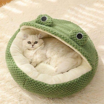 Lit Chat | Niche Grenouille 3-en-1 Circulaire Semi-ouverte Dôme - Mondechat