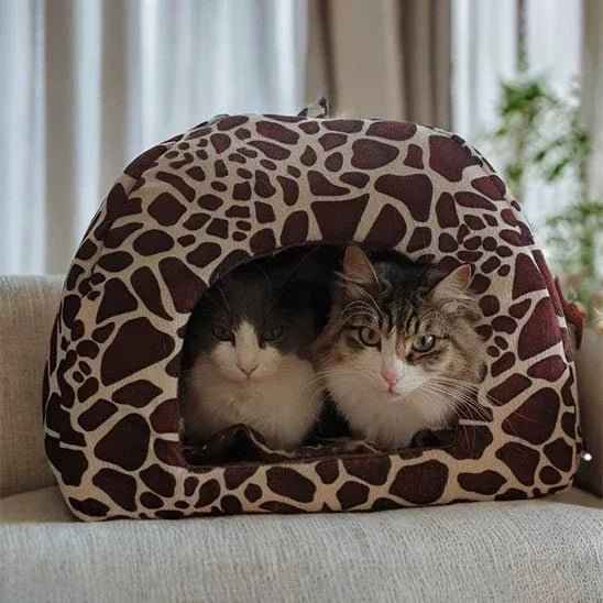 Niche pour chat cosy | Confort et design élégant pour votre maison