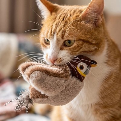 Oiseau Interactif pour Chat | Chant & Battements d'Ailes - Mondechat