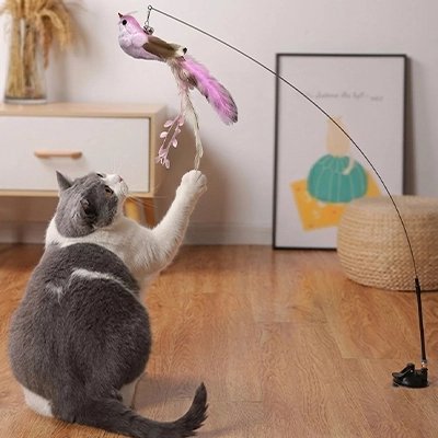 ouet pour Chat | Canne à Plumes Interactif Anti-Ennui - Mondechat