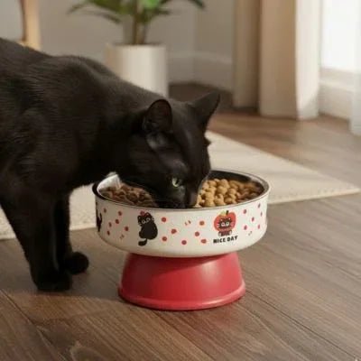 Pack Hydratation & Alimentation Premium Chat - Fontaine + Gamelle Surélevée - Mondechat