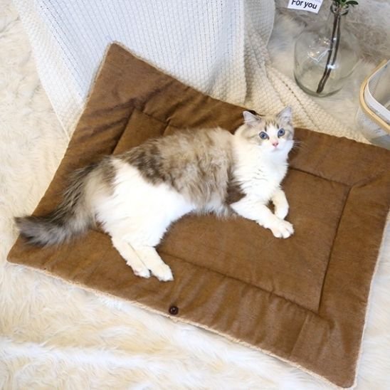 Panier Chat | 2-en-1 Lit & Grotte Sherp - Mondechat