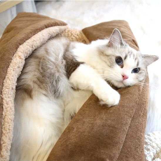 Panier Chat | 2-en-1 Lit & Grotte Sherp - Mondechat