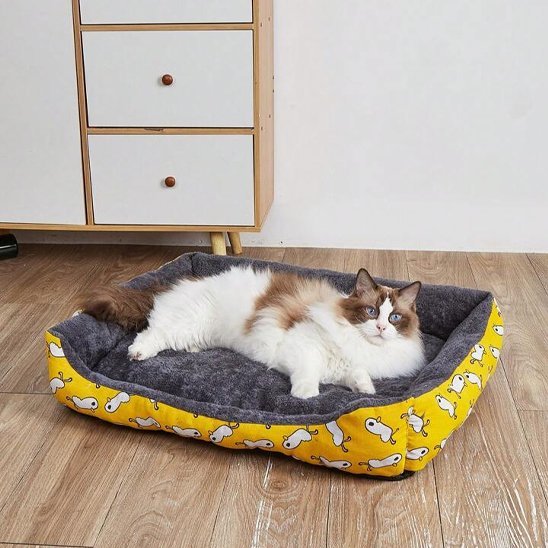 Panier Chat | Douillet - Mondechat