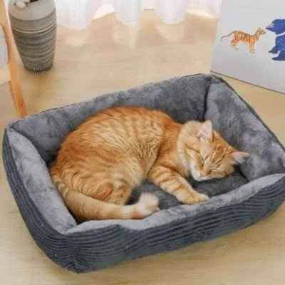 Panier chat douillet : le confort absolu ! - Mondechat