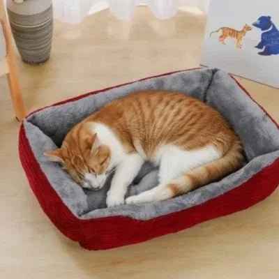 Panier chat douillet : le confort absolu ! - Mondechat