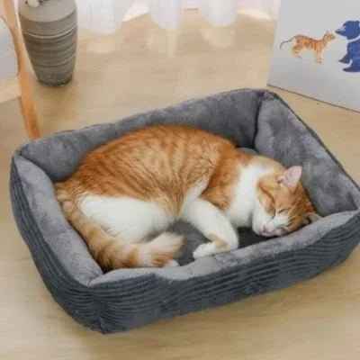 Panier chat douillet : le confort absolu ! - Mondechat