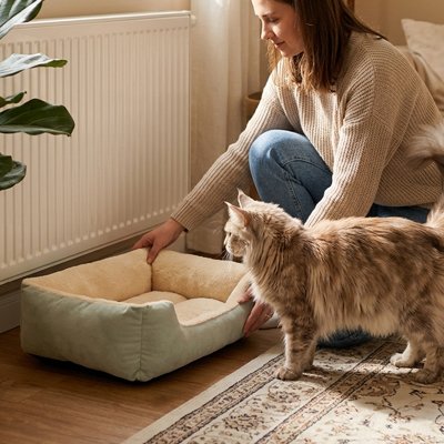 Panier chat 