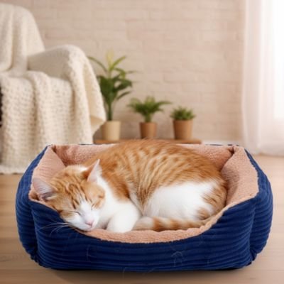 Panier chat
