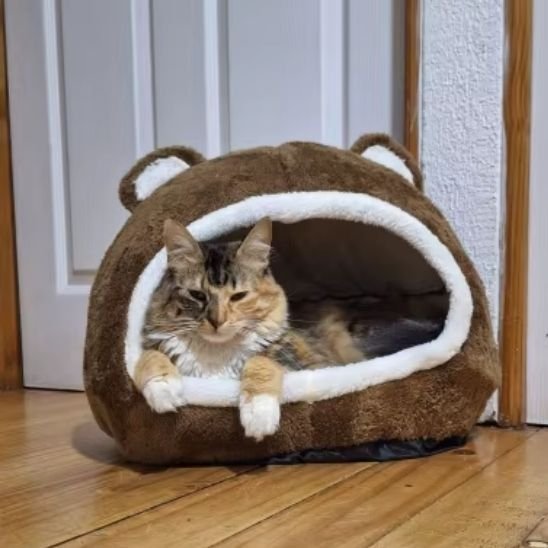 Panier pour Chat | Caverne Ours Douillette & Sécurisante - Mondechat