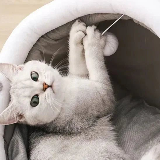 Panier pour chat confort ultra doux : l'indispensable pour votre félin. - Mondechat