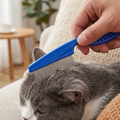 Peigne Chat | Anti-Puces & Anti-Nœuds Dents Fines Acier - Mondechat
