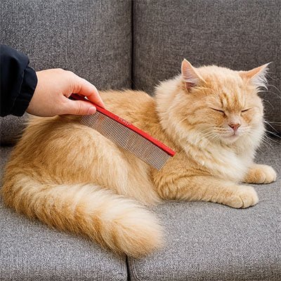 Peigne Chat | Démêlant Professionnel Acier 22 cm - Mondechat