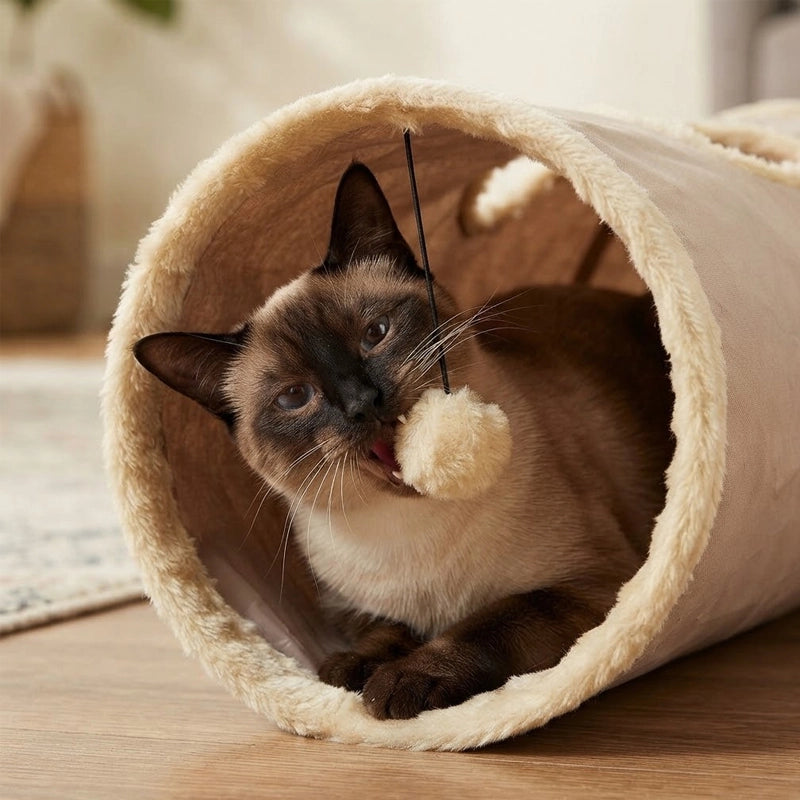 Tunnel pour chat | Douillet – Pliable, 50 cm