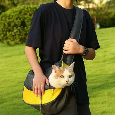 Sac de transport Chat | Confort et Sécurité Encore Plus - Mondechat
