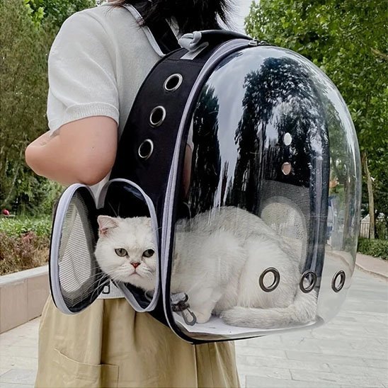 Sac de transport Chat | Confort et Sécurité Noir et Gris - Mondechat