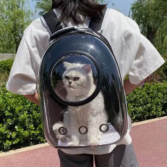 Sac de transport Chat | Confort et Sécurité Noir et Gris - Mondechat