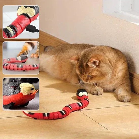 Serpent Interactif pour Chat | Jouet Stimulant et Amusant - Mondechat