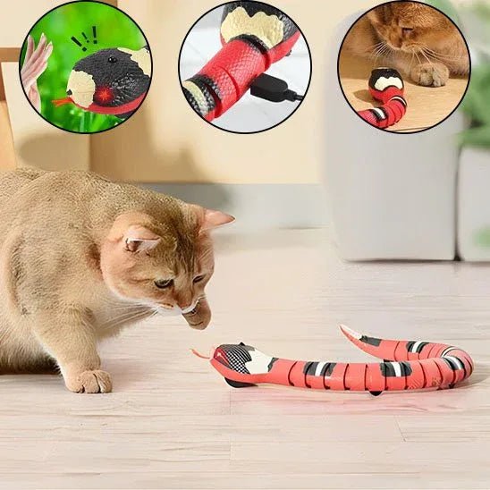 Serpent Interactif pour Chat | Jouet Stimulant et Amusant - Mondechat