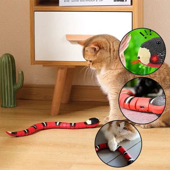 Serpent Interactif pour Chat | Jouet Stimulant et Amusant - Mondechat