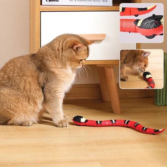 Serpent Interactif pour Chat | Jouet Stimulant et Amusant - Mondechat