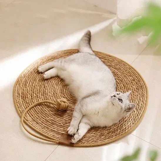 Tapis Griffoir Chat Ultra - Résistant | Protection Meubles Efficace - Mondechat