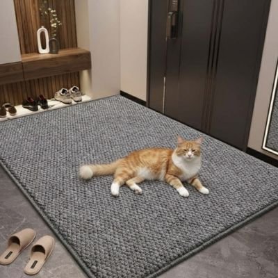 Tapis griffoir chat