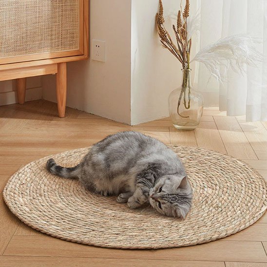 Tapis griffoir chat