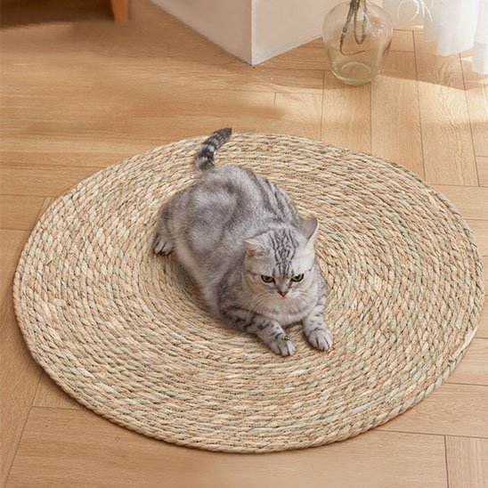 Tapis griffoir chat