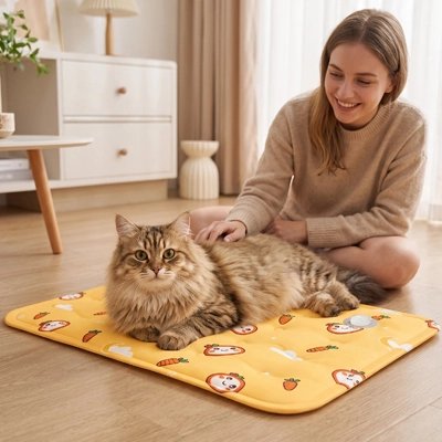 Tapis rafraichissant Chat