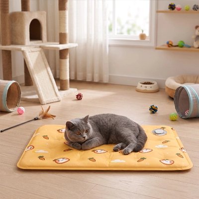 Tapis rafraichissant Chat