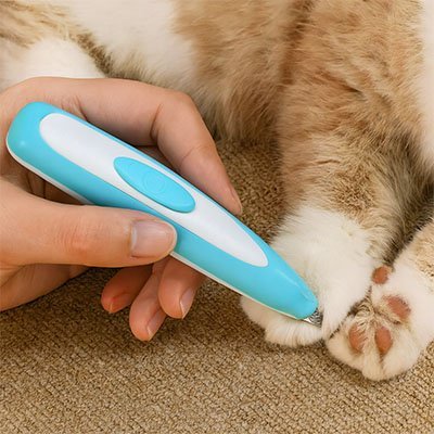 Tondeuse chat | Silencieuse Sans Fil - Mondechat