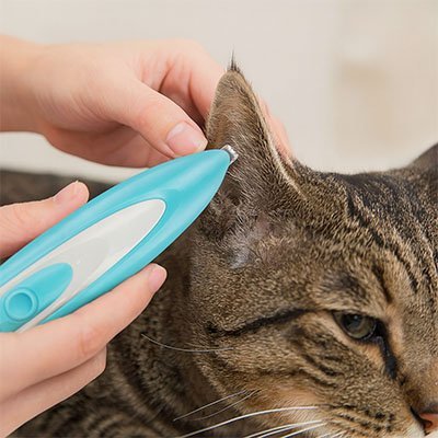 Tondeuse chat | Silencieuse Sans Fil - Mondechat