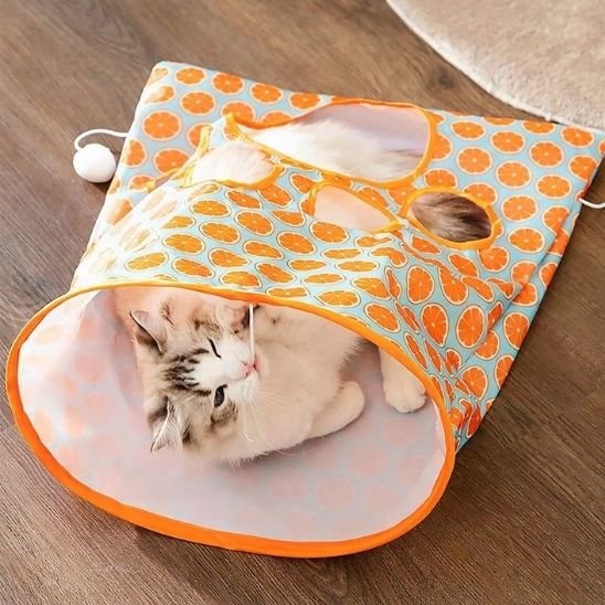 Tunnel d'Aventure pour Chat | Stimulation et Exploration