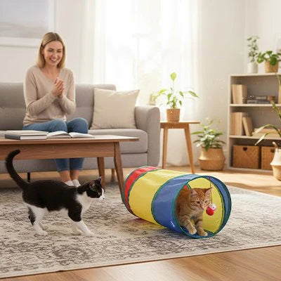 Tunnel de Jeu pour Chat | Pliable et Spacieux